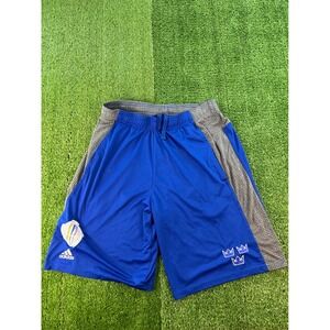 Adidas Team Sweden Men's Blue Athletic‎ Basketball Shorts Training Crown Logo MD
